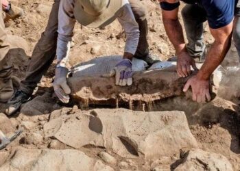 Golan Tepeleri’nde 1700 yıllık yazılı taş bulundu