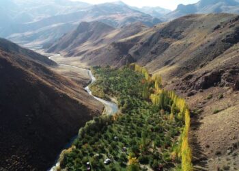 Köyüne döndü, oluşturduğu bahçe ile Başkalelilere örnek oldu
