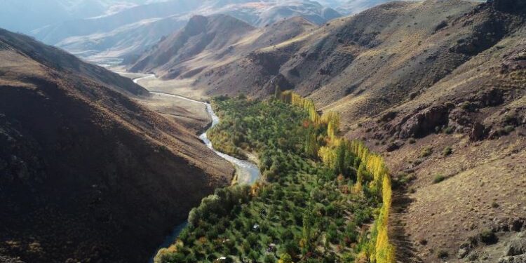 Köyüne döndü, oluşturduğu bahçe ile Başkalelilere örnek oldu