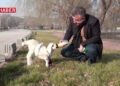 Kahramanmaraş’ta kuzu ve sahibinin dostluğu izleyenleri gülümsetiyor
