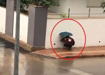 Sokak köpeğini yağmurdan böyle korudu