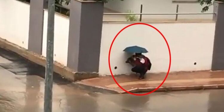 Sokak köpeğini yağmurdan böyle korudu