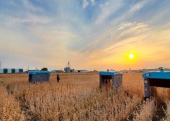 Google’ın robotları tarladaki ürünü tek tek inceleyip çiftçiye bilgi verecek