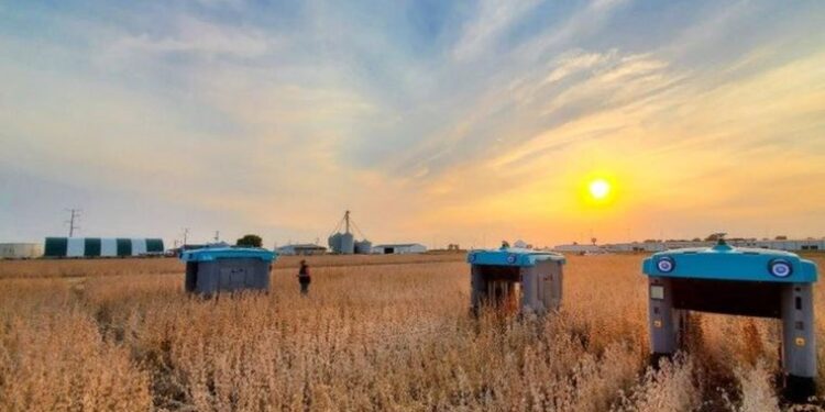 Google’ın robotları tarladaki ürünü tek tek inceleyip çiftçiye bilgi verecek