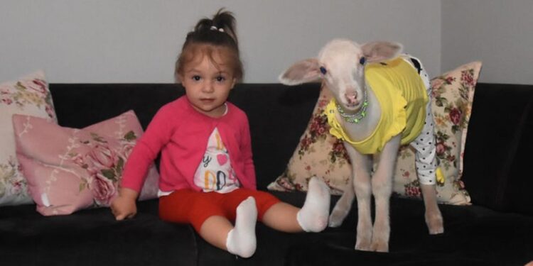 Beril ile ‘Topitop’un muhteşem dostluğu!