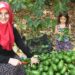 Antalya’da 5 yılda kendi işinin patronu oldu: ‘Avokadocu Ayşe’