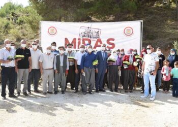 Tarsus’ta çiftçilere ücretsiz tohum desteği