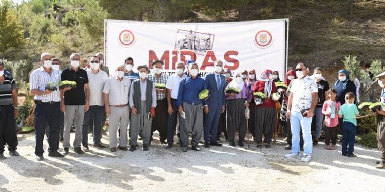 Tarsus’ta çiftçilere ücretsiz tohum desteği