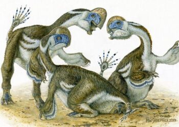 Bilim insanları, 68 milyon yıldan uzun süre önce yaşamış iki parmaklı dişsiz dinozor keşfetti