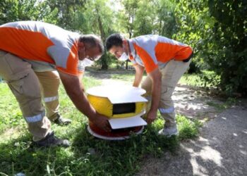 Buca’da sokakta yaşayan canlılar için kış hazırlığı