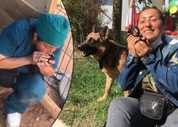 Köpek yavrularını suni teneffüsle hayata döndürdü