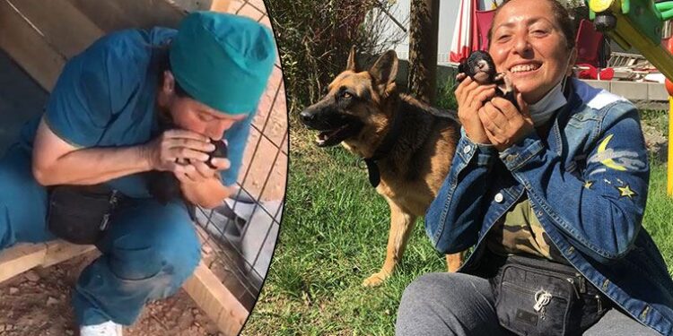 Köpek yavrularını suni teneffüsle hayata döndürdü