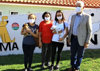 Muğla’da 2 bin 97 hayvan sahiplenildi