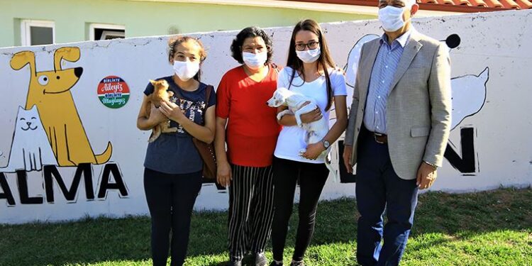 Muğla’da 2 bin 97 hayvan sahiplenildi
