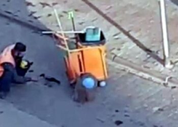 Temizlik işçisinden örnek davranış! Elleriyle besledi