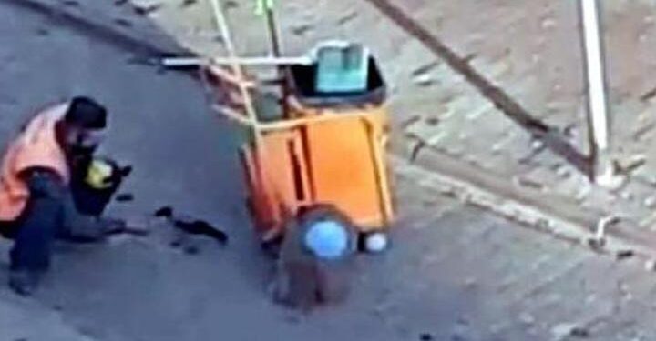 Temizlik işçisinden örnek davranış! Elleriyle besledi