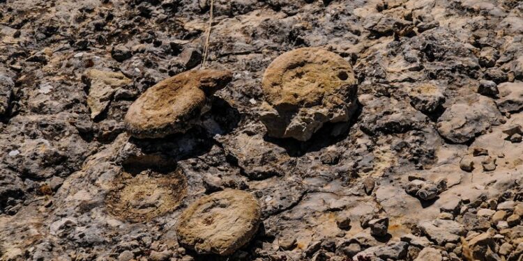 Milli sporcu bisiklet antrenmanı yaparken keşfetti