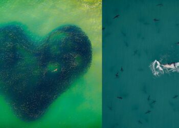 2020 Drone Fotoğrafı Ödülleri’ni kazananlar belli oldu