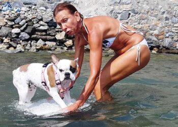 Bu köpeğin en büyük zevki sörf yapmak