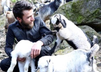 Keçilerine türkü söyleyen çoban, sosyal medyada ilgi odağı oldu