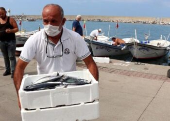 Palamuttan güzel haber!