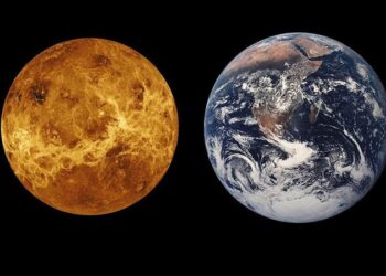Venüs’te yaşam belirtilerine rastlandı
