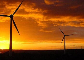 Rüzgar türbini kuşlar için mora boyandı