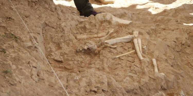 Kayseri’de gün yüzüne çıkarıldı… “Müthiş örneklerle karşılaştık”