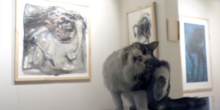 Yansıma sergisi sanatseverleri bekliyor