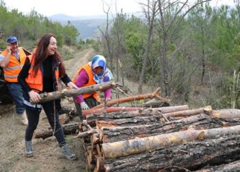 Kunduz Ormanları’na her gün kadın eli değiyor