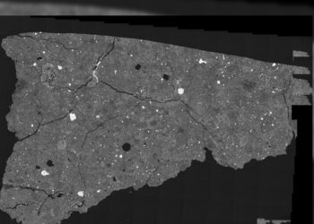 Antarktika’da bulunan göktaşı yaşamın ilk yapıtaşlarını barındırıyor