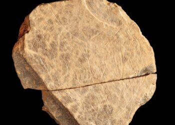 İngiltere’de 15 bin yıllık sanat eserleri bulundu