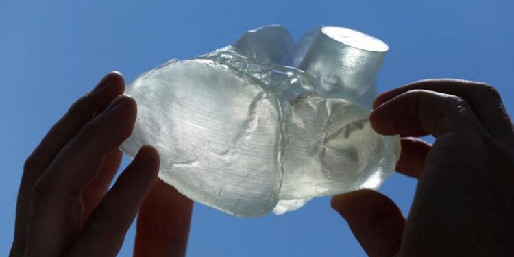 Bilim insanları canlı insan kalbi geliştirdi