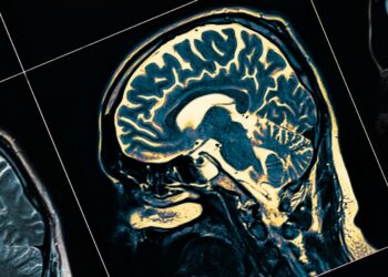 Alzheimer için umut veren çalışma: Nöronlar “çöp”ten geri kazanıldı
