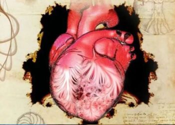 Yeni keşif: Da Vinci’nin çizdiği kalpteki sırrı bilim 500 yıl sonra çözdü!