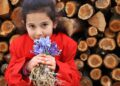 Nevruz çiçekleri baharı erken müjdeledi