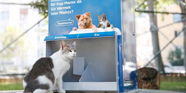 Konak’ta sokakta yaşayan canlılar için ‘Mamamatik’