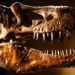 İngiltere’de T-Rex’in kuzeni yeni bir dinozor türü keşfedildi