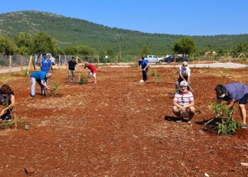 Muğla’da yaşlı ve engelliler için hobi bahçeleri kuruyor