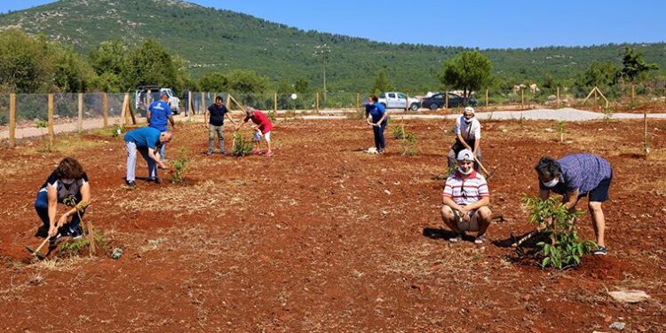 Muğla’da yaşlı ve engelliler için hobi bahçeleri kuruyor