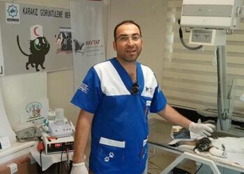 Ayağı kırık halde bulunan sokak kedisi ‘Karpuz’a tedavi