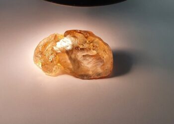 Rusya’nın en büyük renkli elması bulundu