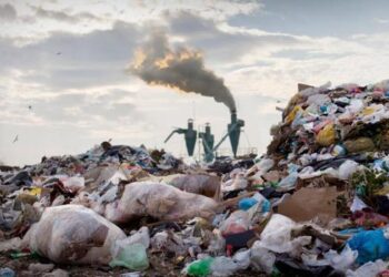 Microsoft, 2030 yılında ‘sıfır atık’ üretmeyi planlıyor