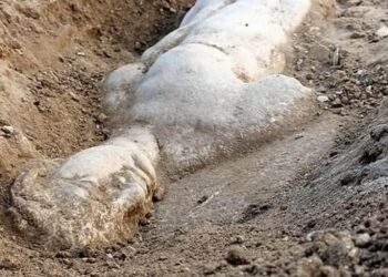 Kültür ve Turizm Bakanlığı duyurdu! İzmir’de heyecanlandıran buluş