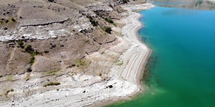 Dünyada örneği yok! Meğer zamanın Afrikası’ymış…