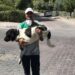 Üç bacaklı sokak köpeği 5 yıldır onunla…