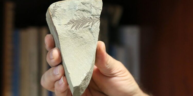 Saha çalışmalarında bulundu… 500 milyon yaşında!