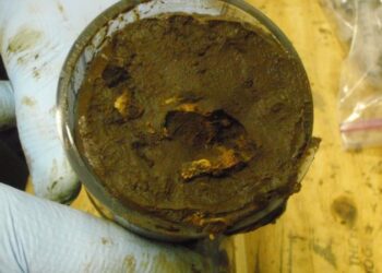 Bilim insanları 100 milyon yıldan uzun süredir deniz dibinde ‘uyur halde’ olan mikropları canlandırdı