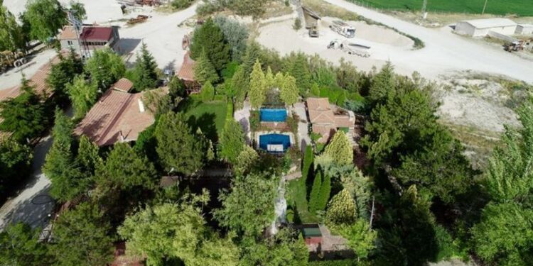 Kurak araziyi 30 yılda vahaya çevirdi