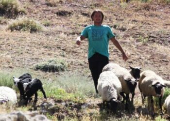 Üç dil bilen işletmeci yurt dışındaki kariyerini bırakıp köyüne döndü